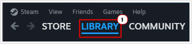 access Library in steam